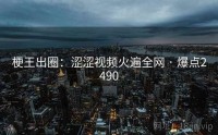 梗王出圈：涩涩视频火遍全网 · 爆点2490