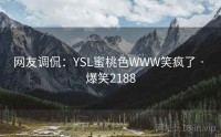 网友调侃：YSL蜜桃色WWW笑疯了 · 爆笑2188
