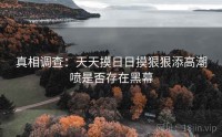 真相调查：天天摸日日摸狠狠添高潮喷是否存在黑幕